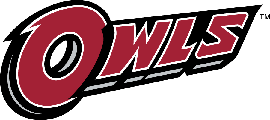 Temple Owls 2014-2020 Wordmark Logo DIY iron on transfer (heat transfer)